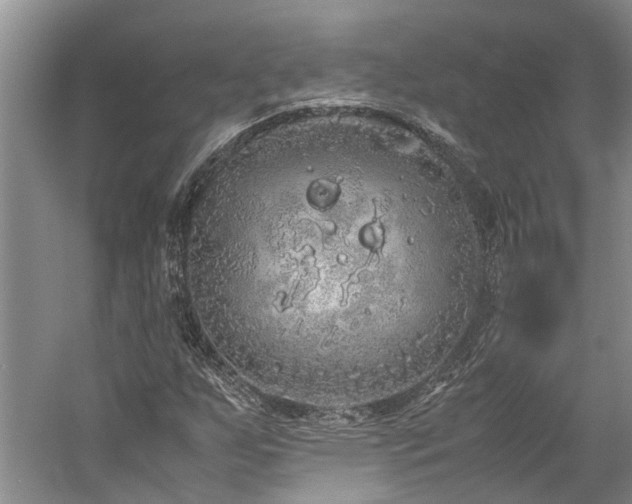 X0000060261255200510281156