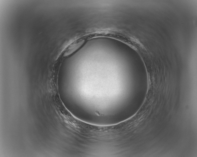 X0000060261256200510281156