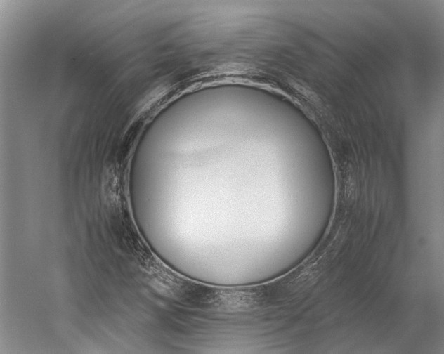 X0000060261258200510281156