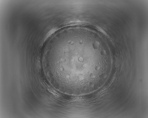 X0000060261259200510281156