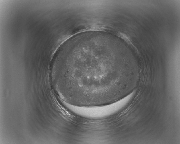 X0000060261260200510281156