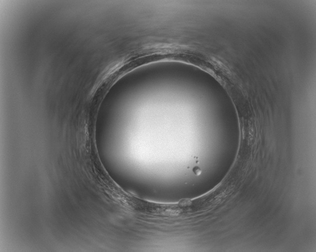 X0000060261261200510281156