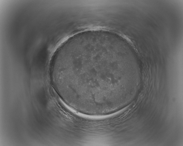 X0000060261263200510281156