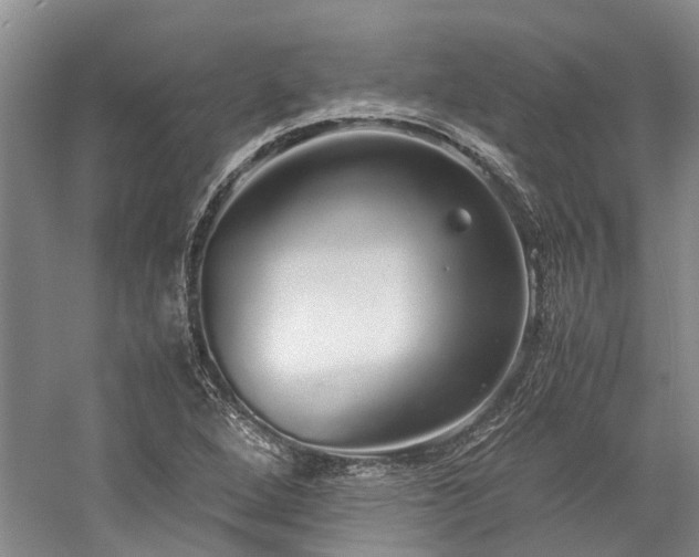 X0000060261264200510281156