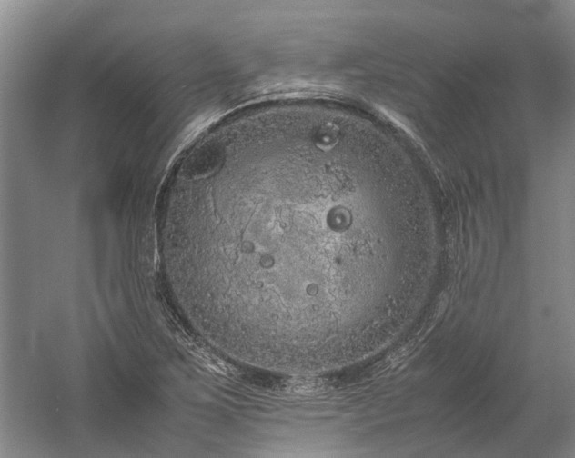 X0000060261267200510281156