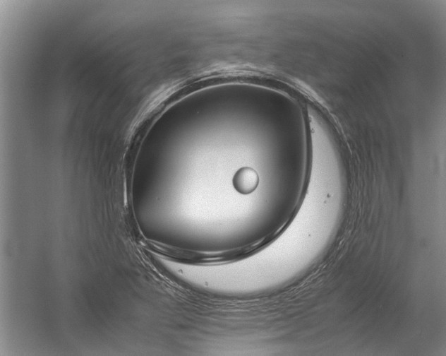 X0000060261269200510281156