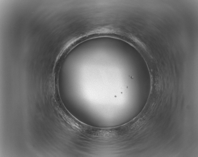 X0000060261270200510281156