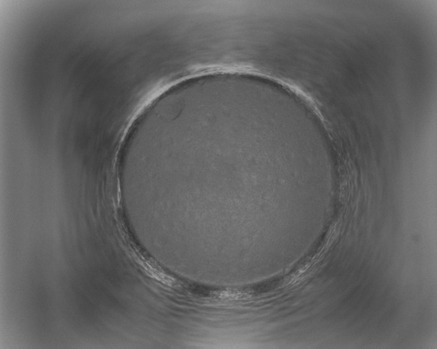 X0000060261271200510281156