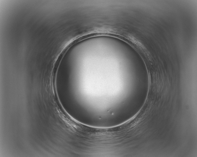 X0000060261272200510281156