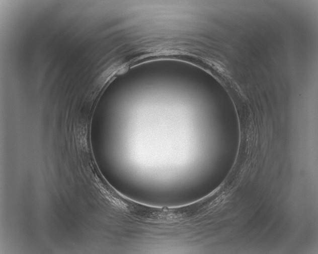 X0000060261273200510281156