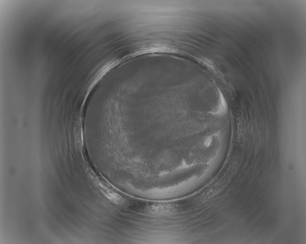 X0000060261274200510281156