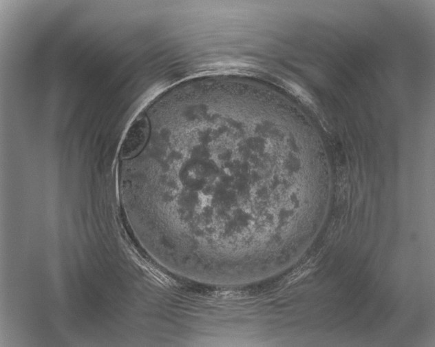 X0000060261275200510281156