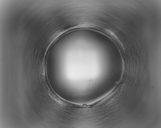 X0000060261276200510281156