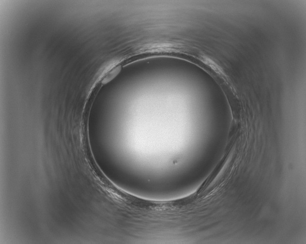 X0000060261277200510281156