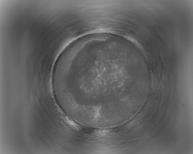 X0000060261278200510281156