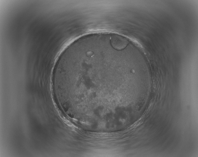 X0000060261279200510281156