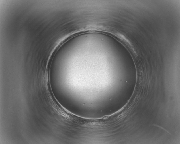 X0000060261280200510281156