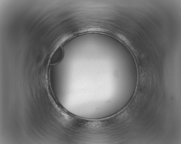 X0000060261282200510281156