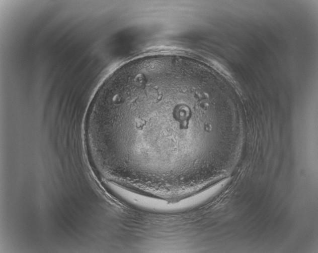 X0000060261283200510281156