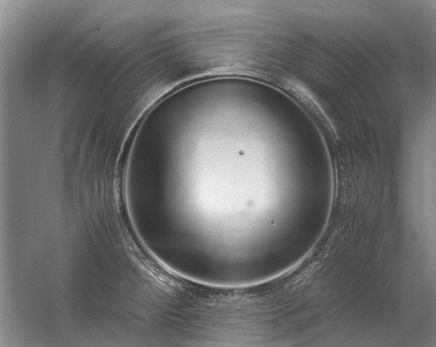 X0000060261284200510281156