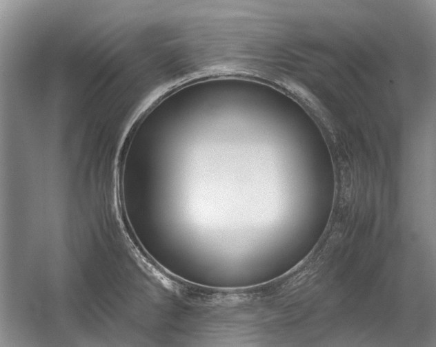 X0000060261286200510281156