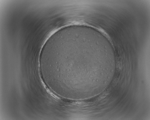 X0000060261287200510281156