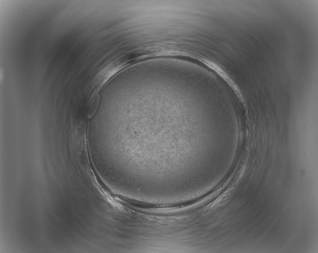 X0000060261289200510281156