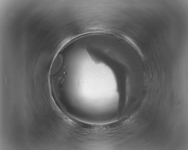 X0000060261291200510281156