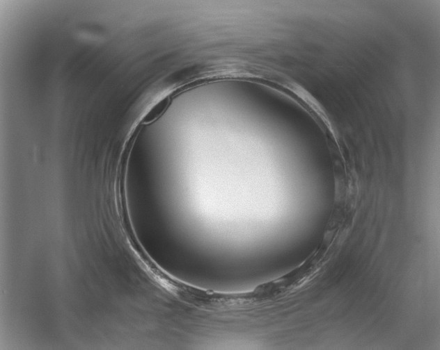 X0000060261293200510281156