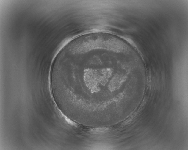 X0000060261294200510281156