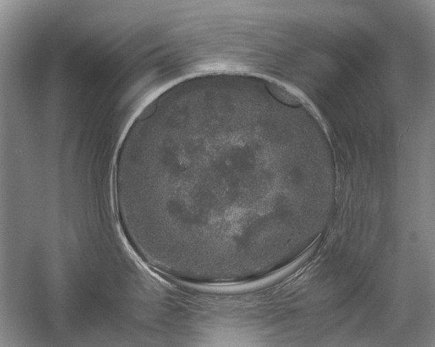 X0000060261295200510281156