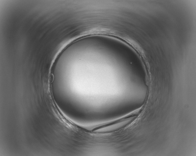 X0000060261296200510281155