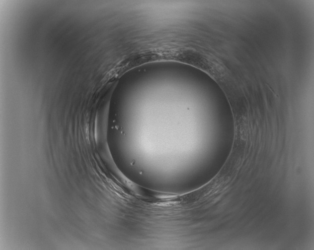 X0000060261298200510281155