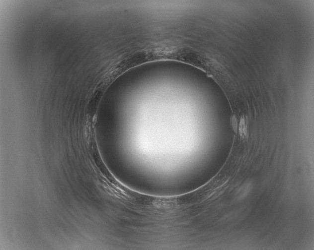 X0000060261299200510281155