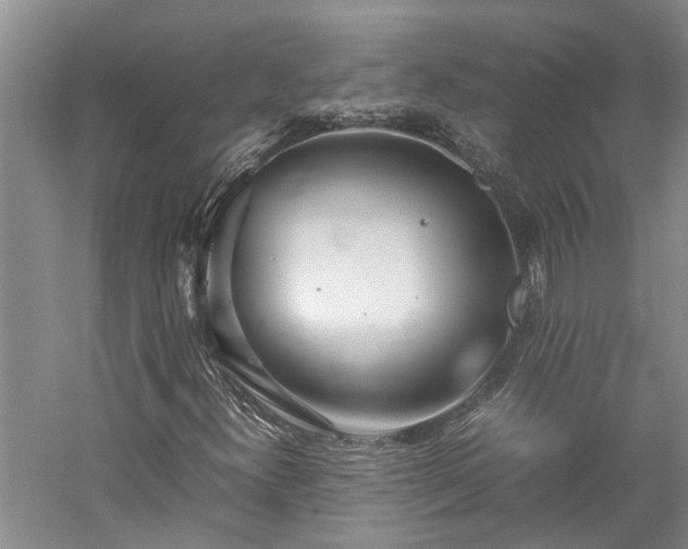 X0000060261300200510281155