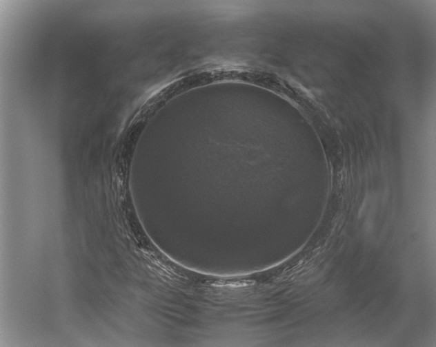 X0000060261303200510281155