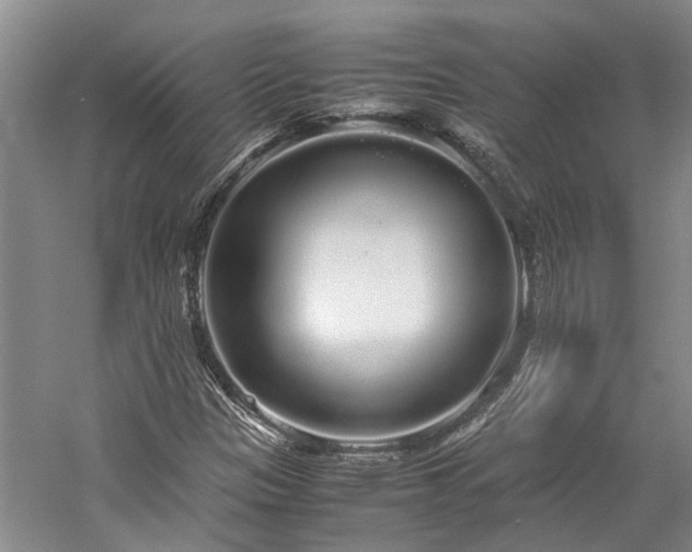 X0000060261305200510281155