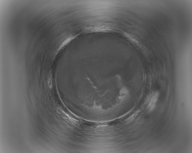 X0000060261306200510281155