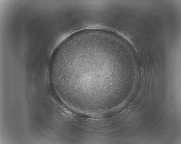 X0000060261311200510281155