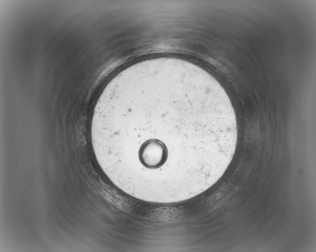 X0000060261314200510281155