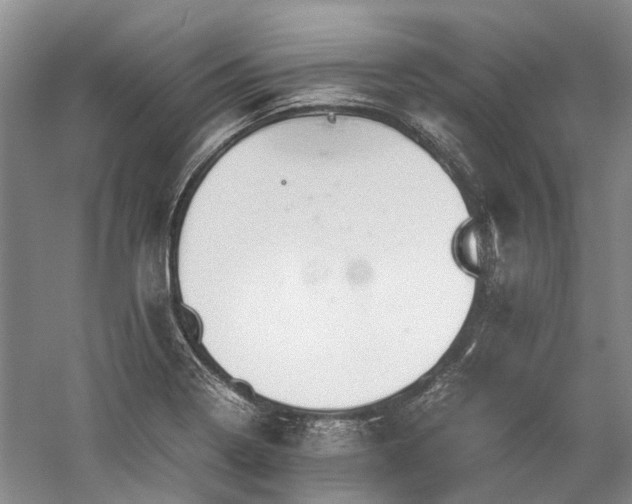 X0000060261322200510281155