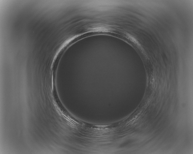 X0000060261323200510281155