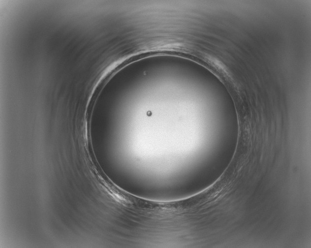 X0000060261324200510281155