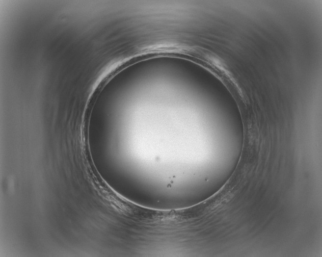 X0000060261328200510281155