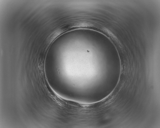 X0000060261329200510281155