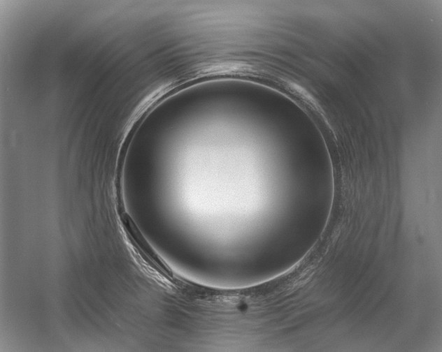 X0000060261330200510281155