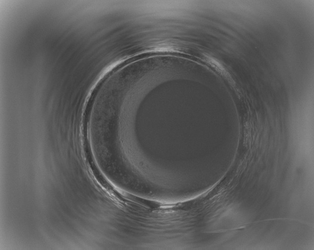 X0000060261331200510281155