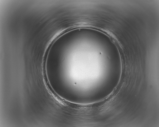 X0000060261333200510281155