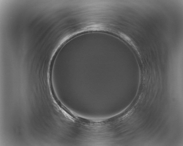 X0000060261334200510281155