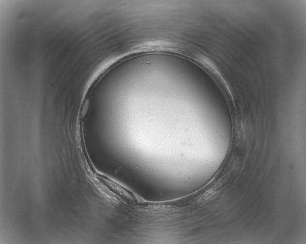 X0000060261336200510281155